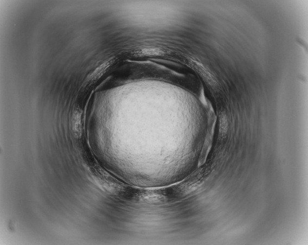 X0000094770360200712071139