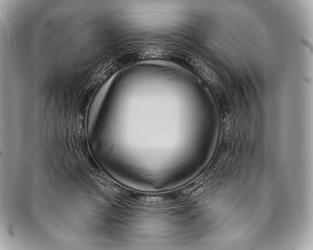 X0000094770361200712071139