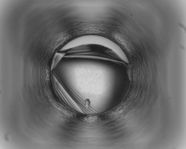 X0000094770362200712071139