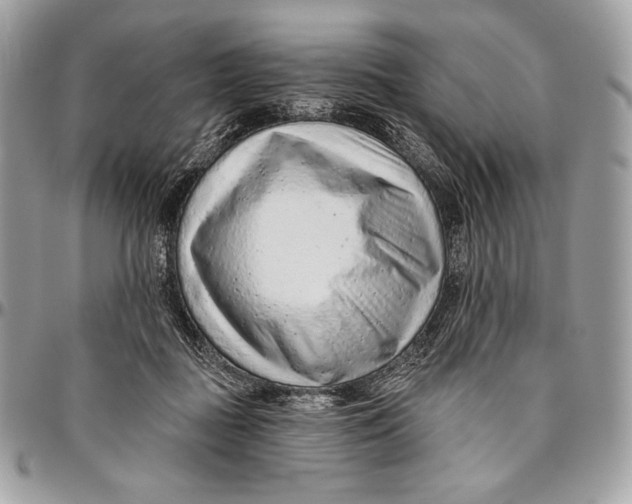 X0000094770363200712071139