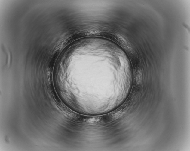 X0000094770366200712071139