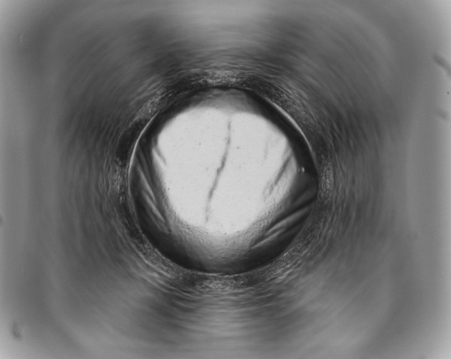 X0000094770367200712071139