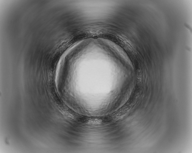 X0000094770369200712071139