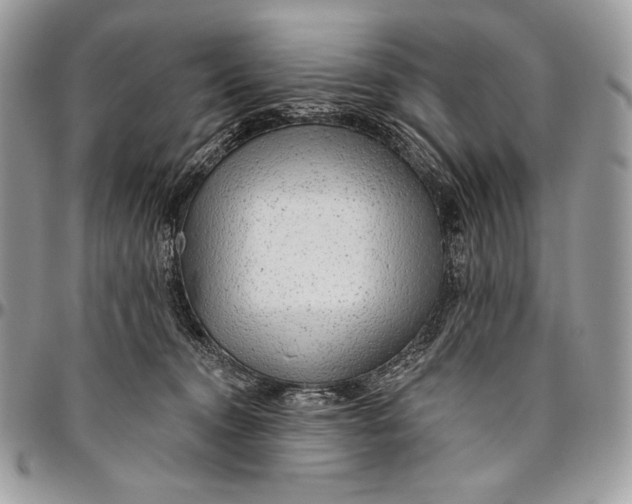 X0000094770372200712071139