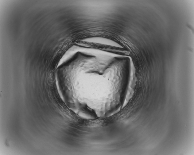 X0000094770373200712071139