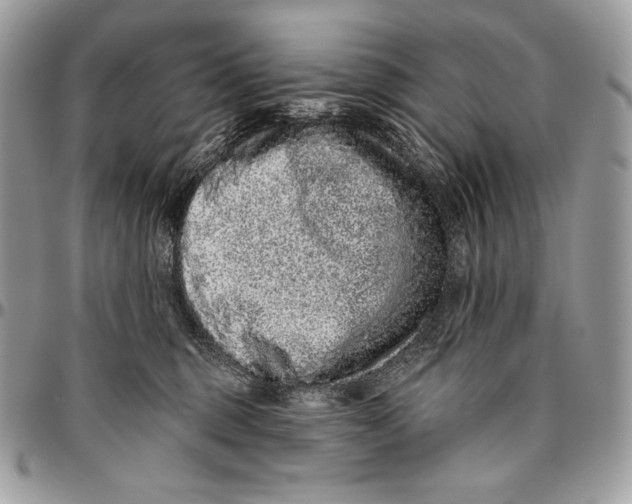 X0000094770375200712071139