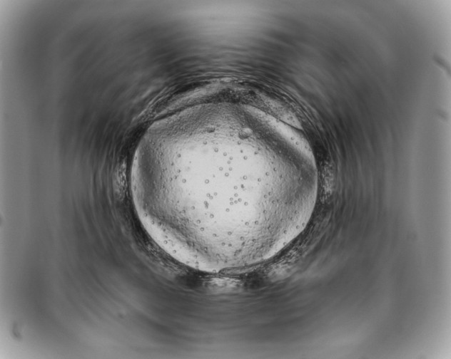 X0000094770376200712071139