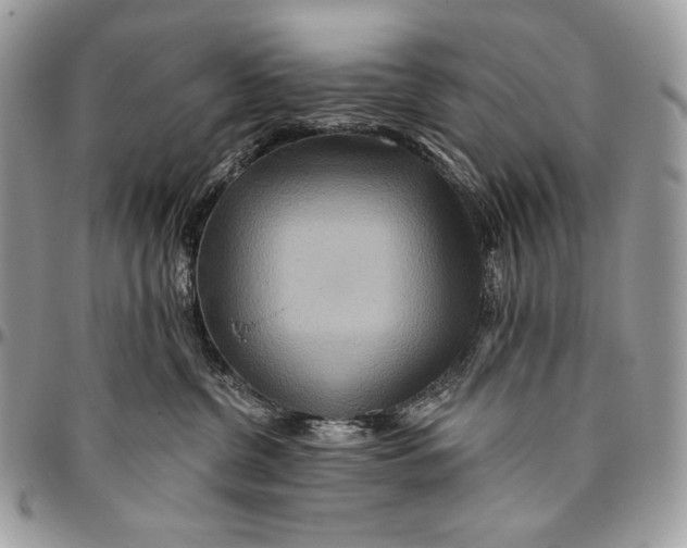 X0000094770380200712071139