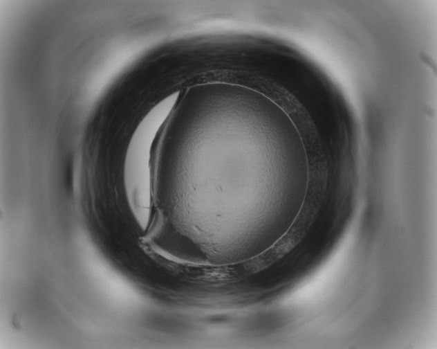 X0000094770382200712071139