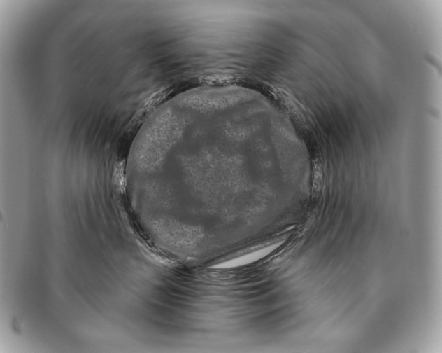 X0000094770383200712071139