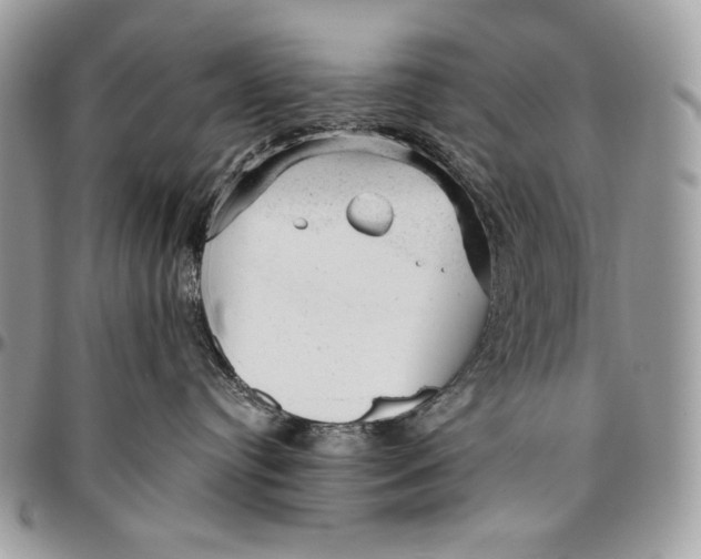 X0000094770384200712071139