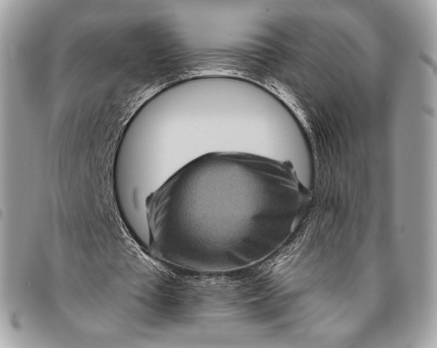 X0000094770385200712071139