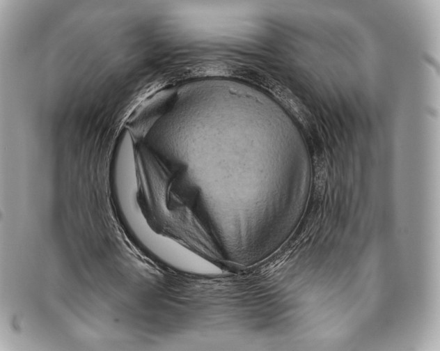 X0000094770386200712071139