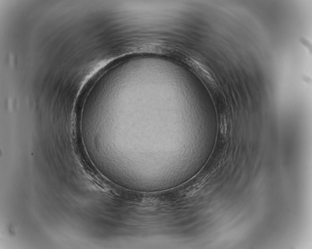 X0000094770388200712071139