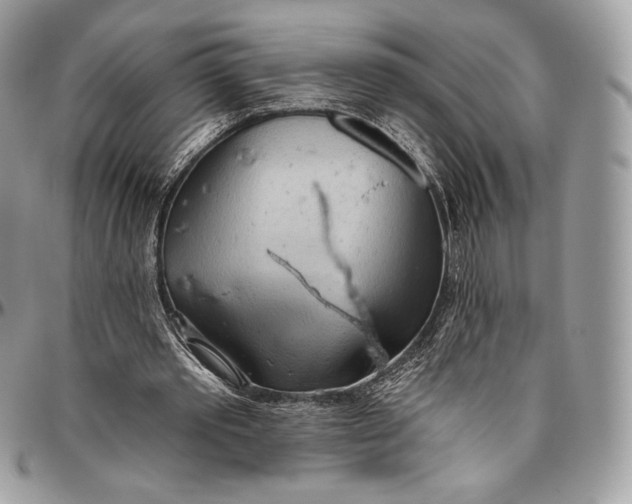 X0000094770389200712071139