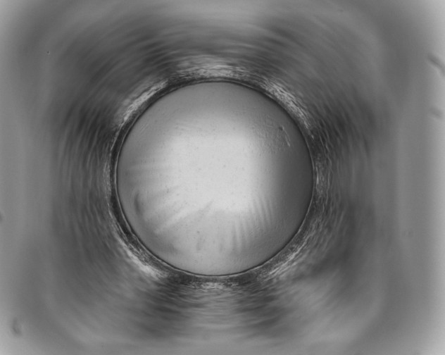 X0000094770390200712071139