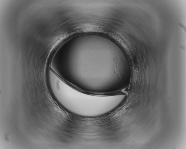 X0000094770391200712071139