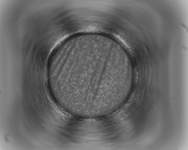 X0000094770392200712071139