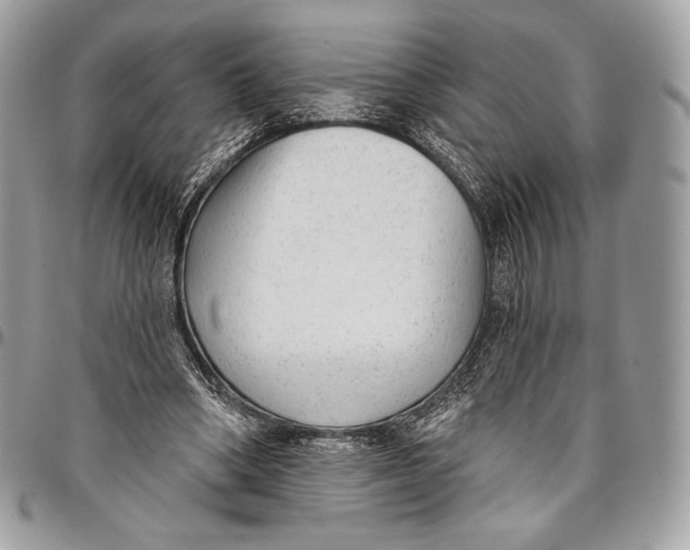 X0000094770394200712071139