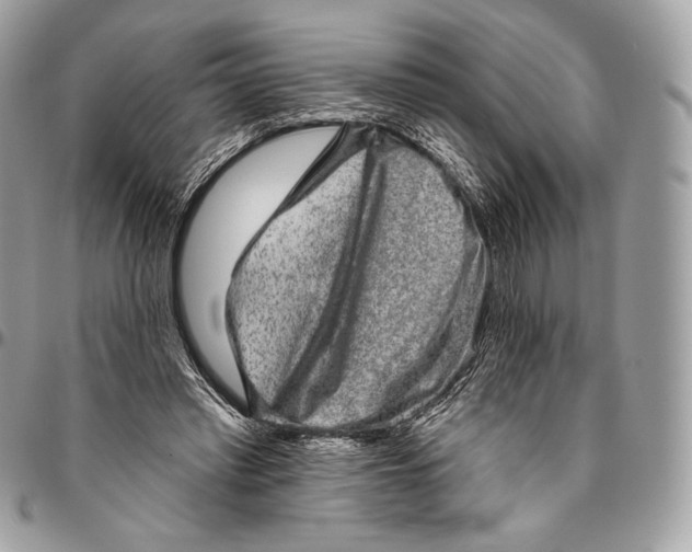 X0000094770397200712071138