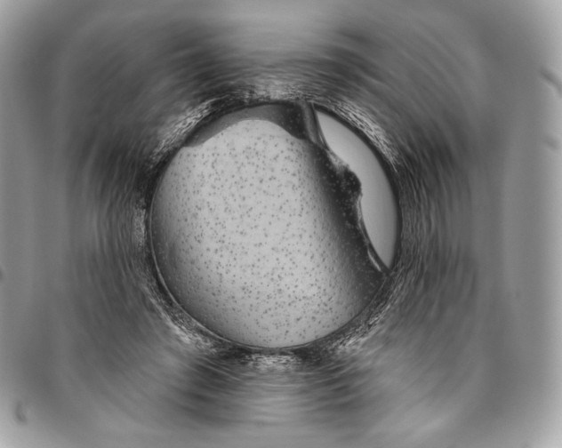 X0000094770401200712071138