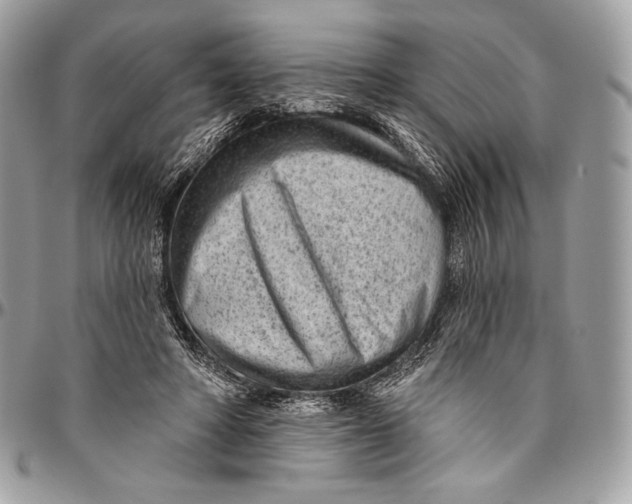 X0000094770402200712071138