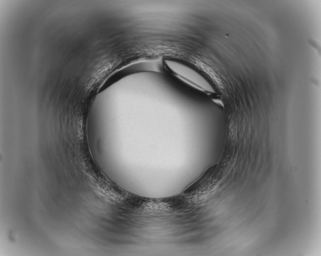 X0000094770403200712071138