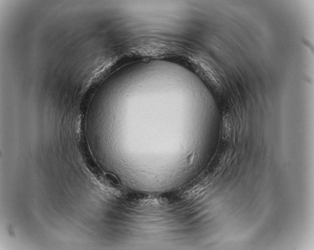 X0000094770404200712071138