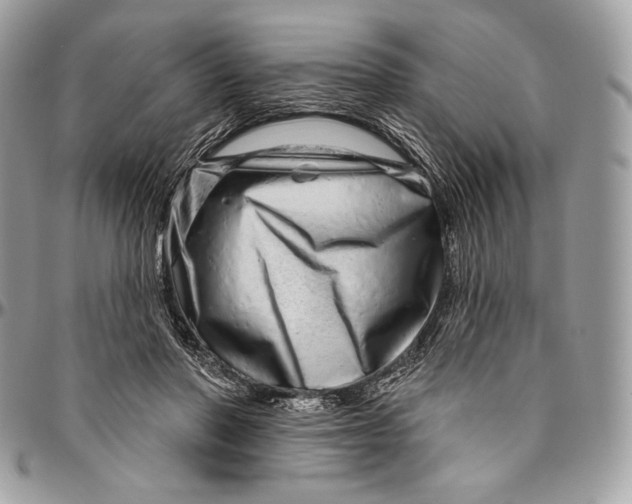 X0000094770406200712071138