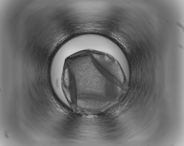 X0000094770407200712071138