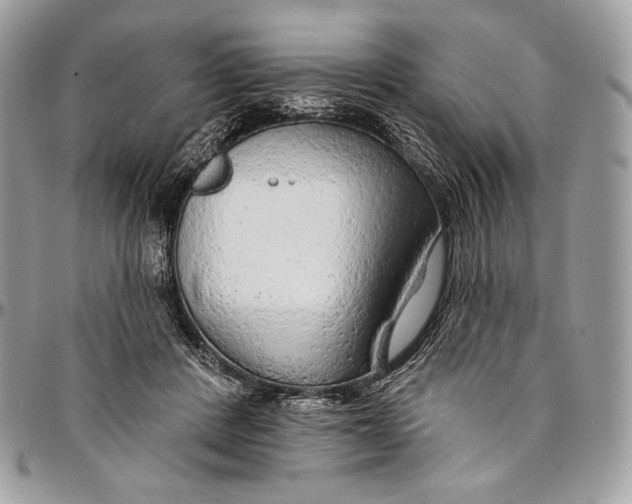 X0000094770408200712071138