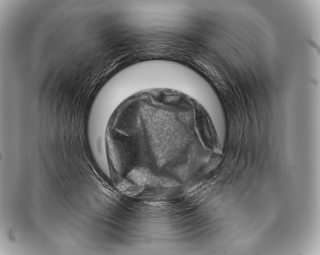 X0000094770409200712071138