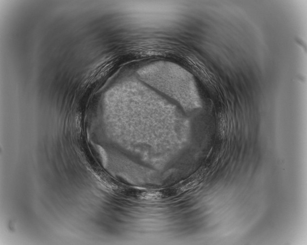 X0000094770410200712071138