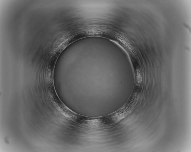 X0000094770411200712071138