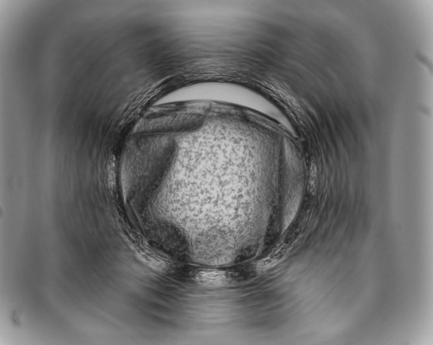 X0000094770413200712071138