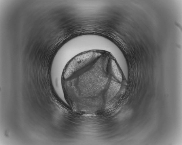 X0000094770415200712071138