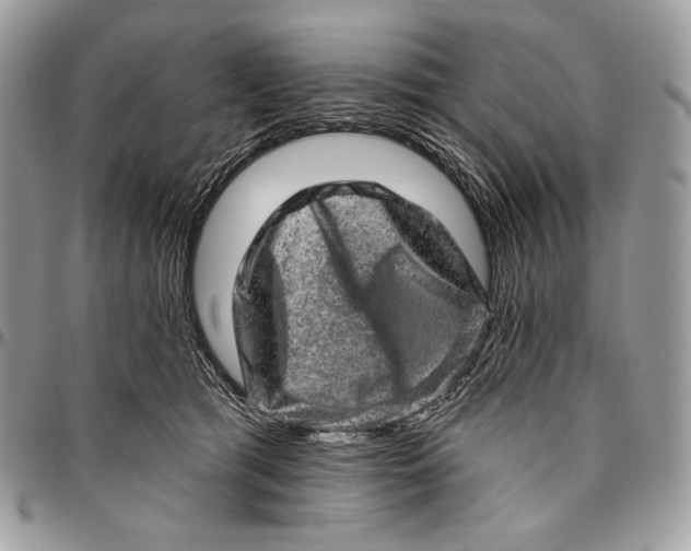 X0000094770417200712071138