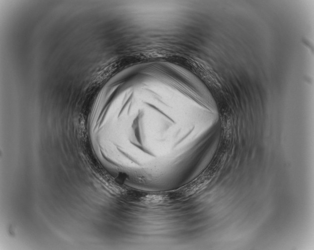 X0000094770418200712071138