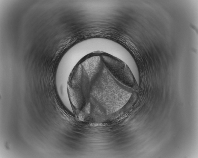 X0000094770419200712071138