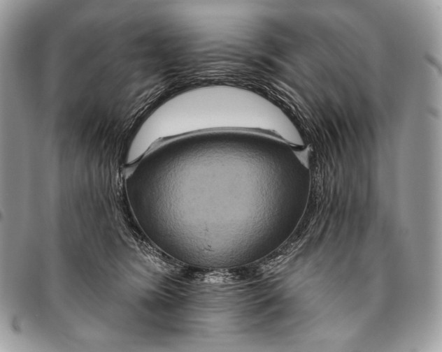 X0000094770420200712071138