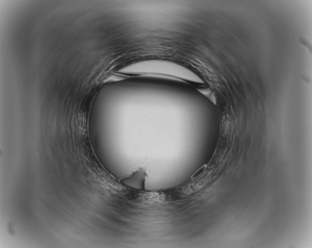 X0000094770421200712071138