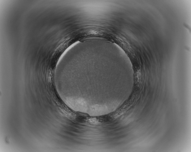 X0000094770423200712071138