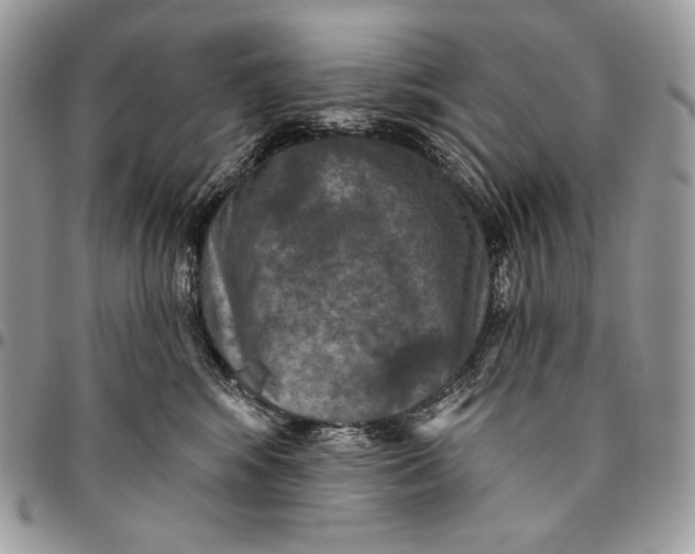 X0000094770424200712071138