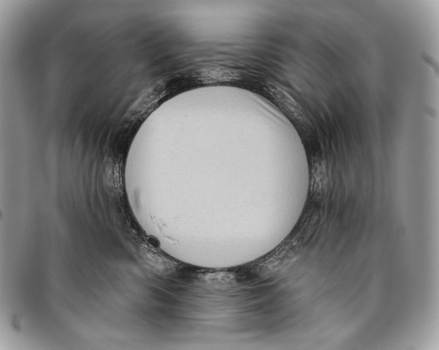 X0000094770426200712071138