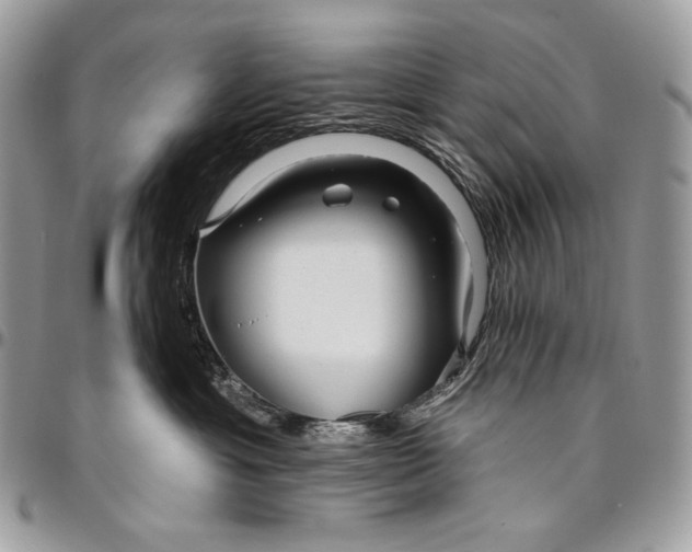 X0000094770429200712071138