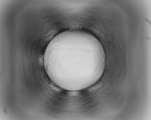 X0000094770432200712071138