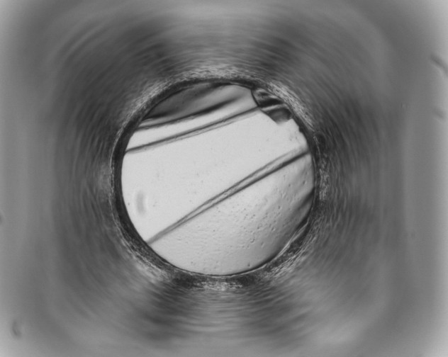 X0000094770439200712071137