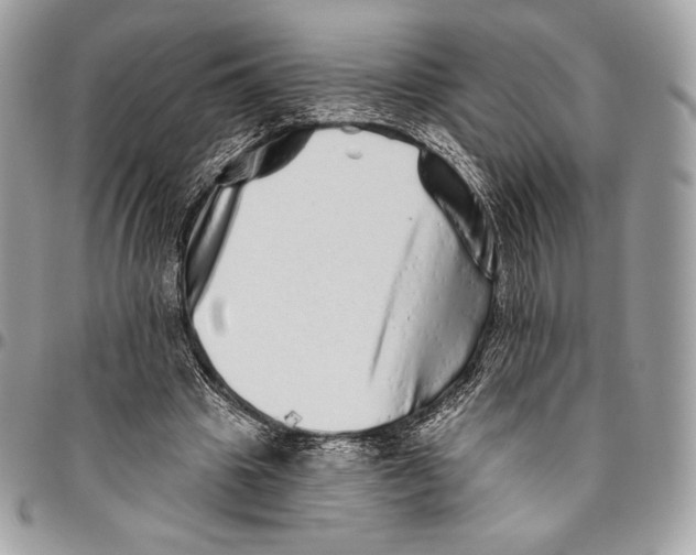 X0000094770441200712071137