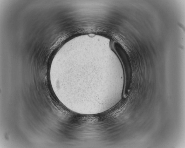 X0000094770443200712071137