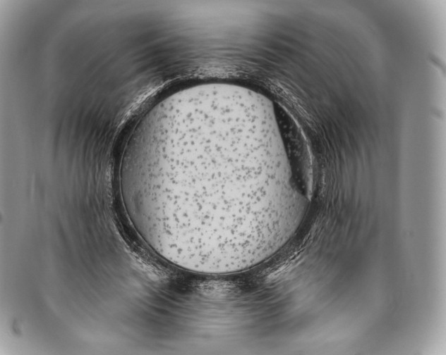 X0000094770444200712071138